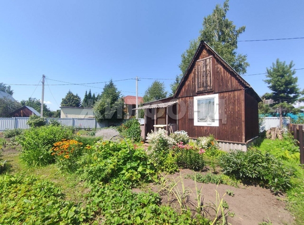 
  Продается дача, 40 м², садовое товарищество Солнечный (Морской сельсовет)
. Фото 1.