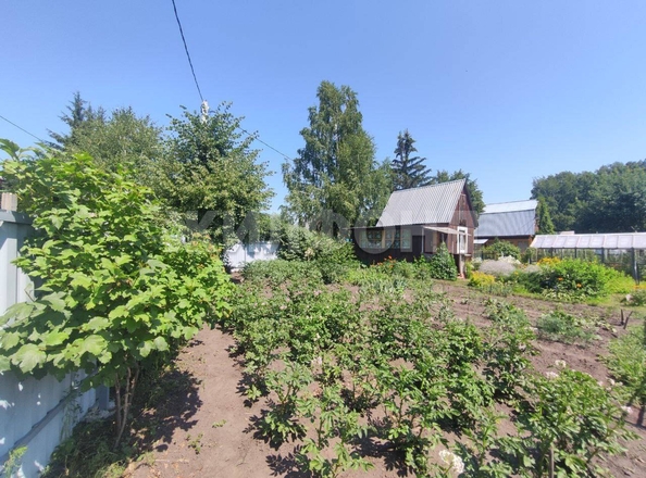 
  Продается дача, 40 м², садовое товарищество Солнечный (Морской сельсовет)
. Фото 4.