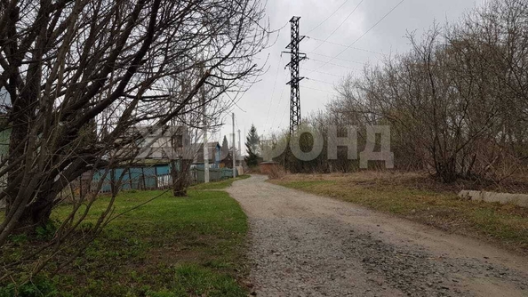 
  Продается дача, 80 м², СНТ Дружба (Березовский сельсовет)
. Фото 5.