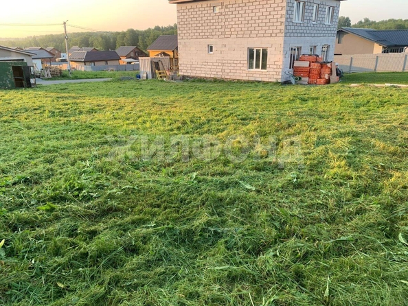 
  Продается земельный участок, 6 соток, село Каменка
. Фото 2.