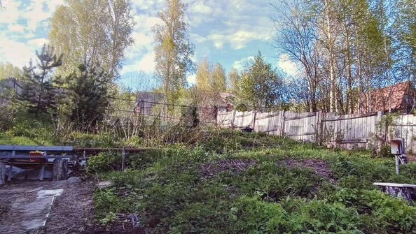 
  Продается земельный участок, 6.3 соток, СНТ Звездочка (Первомайский р-н)
. Фото 3.