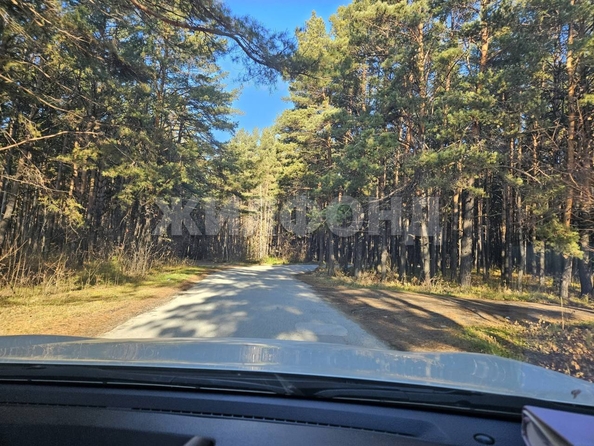 
  Продается дом, 36 м², СНТ Ивушка (Советский р-н)
. Фото 12.