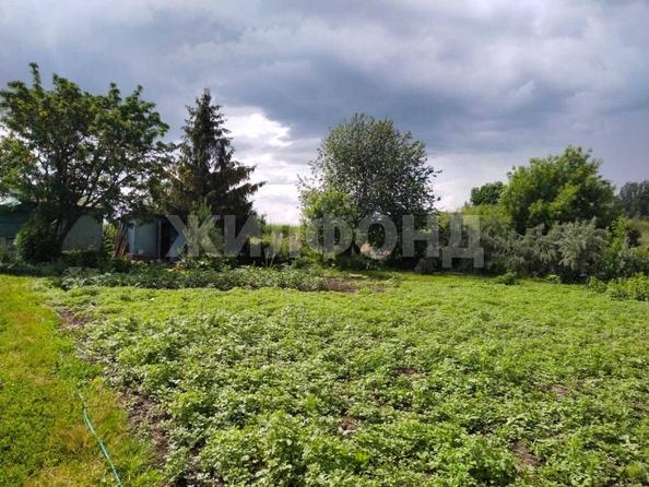 
  Продается земельный участок, 9 соток, село Криводановка
. Фото 10.