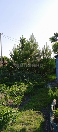 
  Продается земельный участок, 9 соток, село Криводановка
. Фото 9.