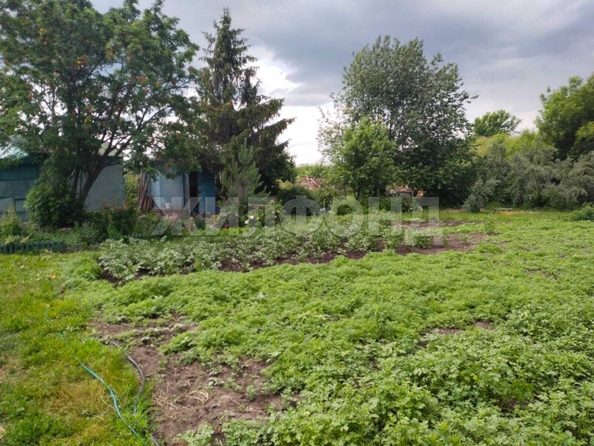
  Продается земельный участок, 9 соток, село Криводановка
. Фото 3.