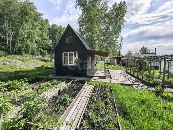 
  Продается дача, 20 м², село Каменка
. Фото 2.