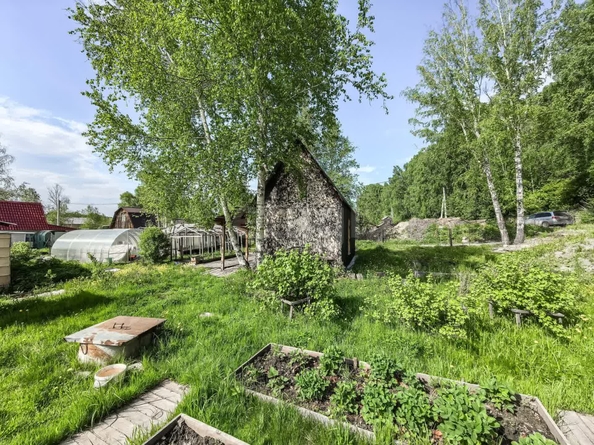 
  Продается дача, 20 м², село Каменка
. Фото 7.