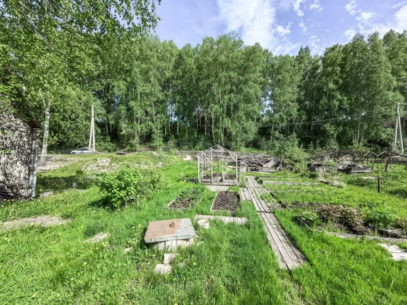 
  Продается дача, 20 м², село Каменка
. Фото 9.