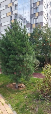
  Сдается 2-комн. квартира, 61 м², Лескова ул, д. 35б
. Фото 37.