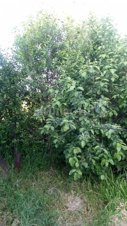 
  Продается 3-комн. квартира, 48.5 м², Береговая ул, д. 9
. Фото 5.