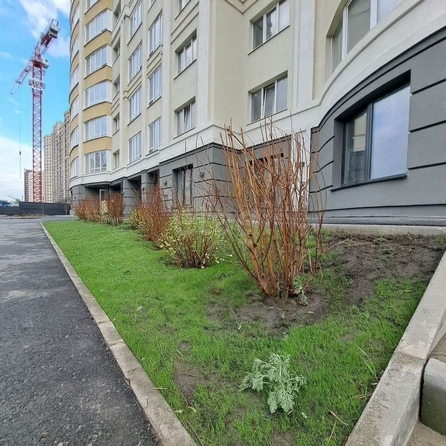 
  Продается 3-комн. квартира, 115.2 м², Дуси Ковальчук ул, д. 242
. Фото 5.