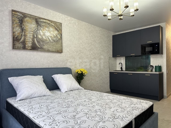 
  Сдается 1-комн. квартира, 25.3 м²
. Фото 1.