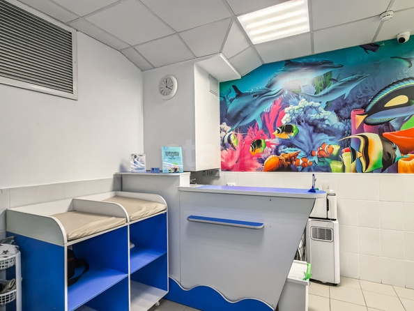 
  Сдается универсальное помещение, 211 м², Ключ-Камышенское Плато ул, д. 13
. Фото 4.