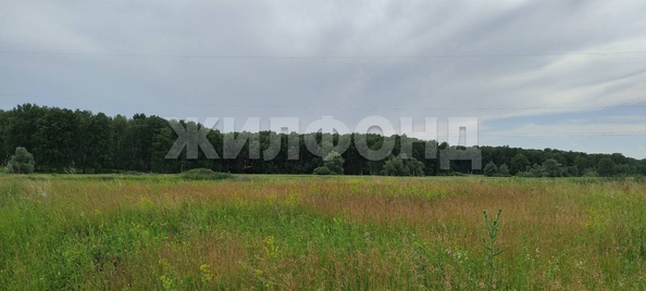 
  Продается земельный участок, 30 соток, село Алексеевка
. Фото 4.