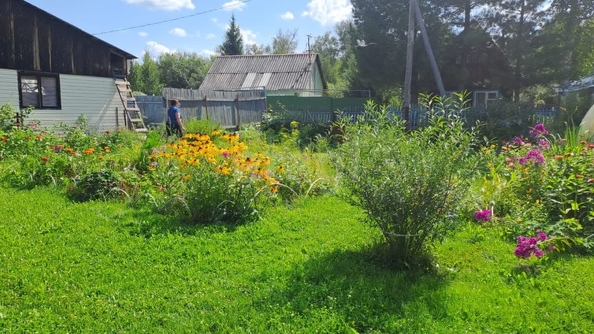 
  Продается дача, 24 м², Новосибирск
. Фото 3.