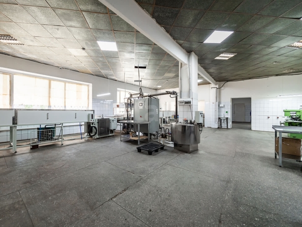 
  Сдается готовый бизнес, 1690 м², Набережная ул, д. 1а/1
. Фото 12.