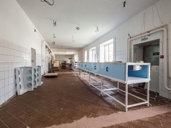 
  Сдается готовый бизнес, 1690 м², Набережная ул, д. 1а/1
. Фото 31.
