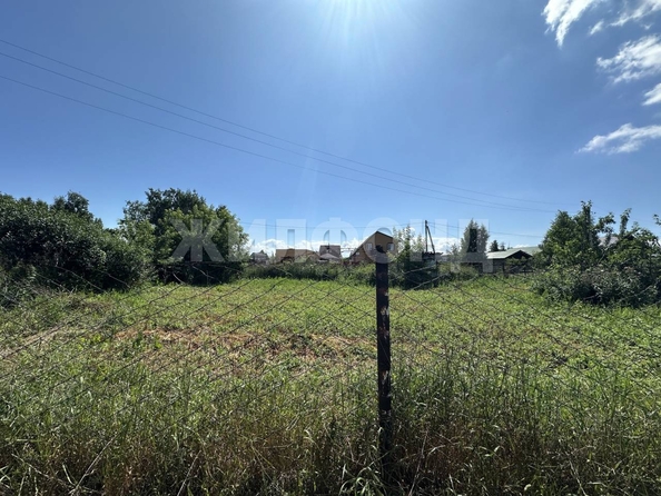 
  Продается земельный участок, 6 соток, село Боровое
. Фото 2.