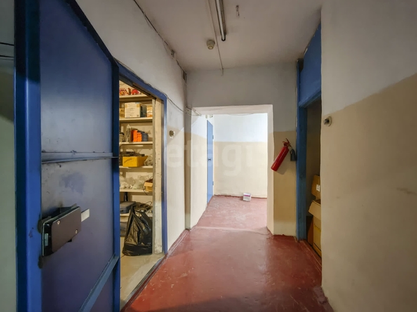 
  Продается универсальное помещение, 205 м², Дачная ул, д. 33
. Фото 3.