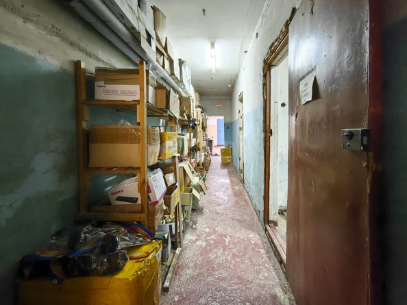
  Продается универсальное помещение, 205 м², Дачная ул, д. 33
. Фото 13.