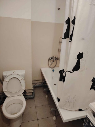 
  Сдается 1-комн. квартира, 35 м², Венская ул
. Фото 10.