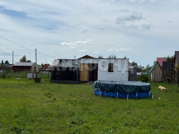 
  Продается земельный участок, 6.2 соток, дачный поселок Кудряшовский
. Фото 2.
