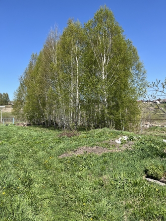 
  Продам коттедж, 205.6 м², село Каменка
. Фото 8.