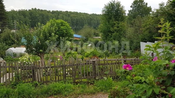 
  Продается дача, 35 м², станция Мочище
. Фото 5.