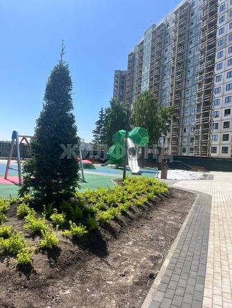 
  Продается студия, 25.1 м², Летный мкр, д. 31
. Фото 9.