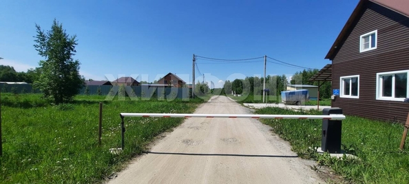 
  Продается земельный участок, 48 соток, ДНТ Синегорье
. Фото 4.
