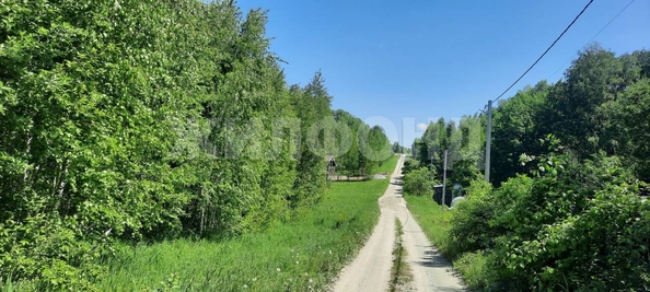 
  Продается земельный участок, 48 соток, ДНТ Синегорье
. Фото 12.