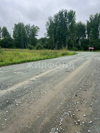 
  Продается земельный участок, 100 соток, село Льниха
. Фото 6.