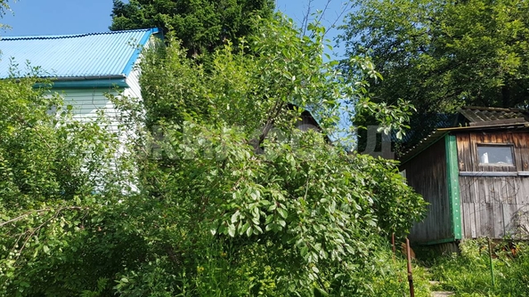 
  Продается дача, 60 м², станция Мочище
. Фото 6.