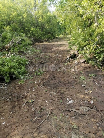 
  Продается земельный участок, 10 соток, Новосибирск
. Фото 3.