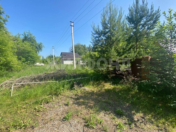 
  Продается земельный участок, 15 соток, село Боровое
. Фото 3.
