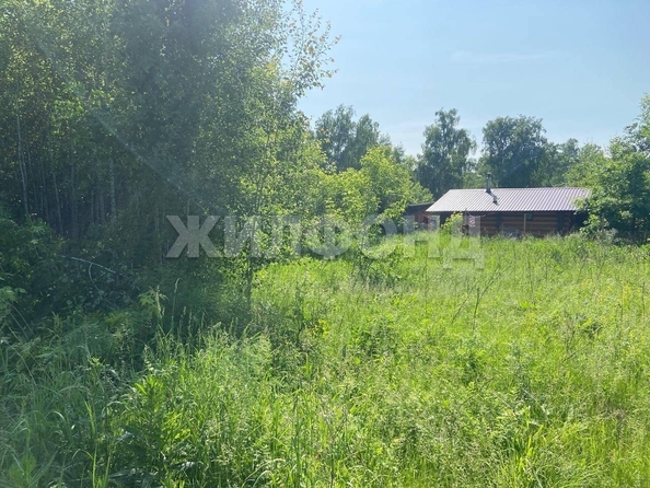 
  Продается земельный участок, 15 соток, село Боровое
. Фото 8.