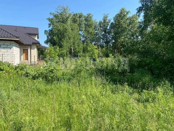 
  Продается земельный участок, 15 соток, село Боровое
. Фото 10.