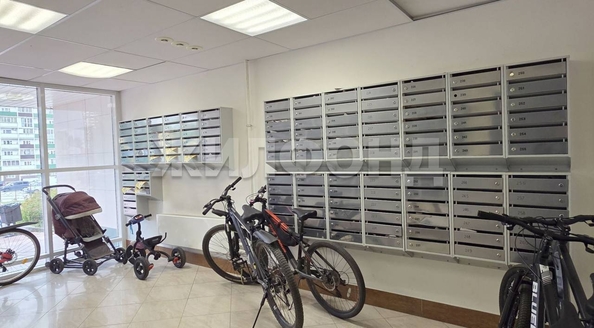 
  Продается студия, 22.7 м², Фадеева ул, д. 66/2
. Фото 5.