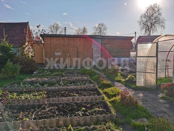 
  Продается дача, 43 м², село Каменка
. Фото 12.