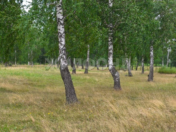 
  Продается земельный участок, 9 соток, село Пайвино
. Фото 1.