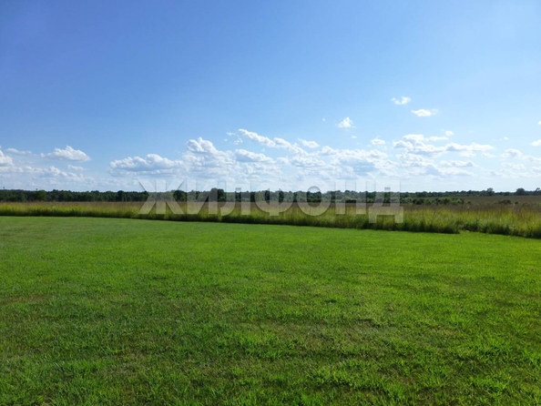 
  Продается земельный участок, 10 соток, село Алексеевка
. Фото 1.