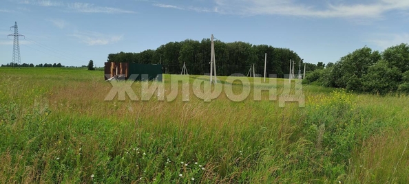 
  Продается земельный участок, 10 соток, село Алексеевка
. Фото 7.