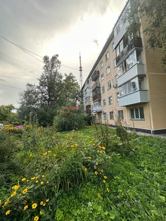 
  Продается 2-комн. квартира, 45.5 м², Сибиряков-Гвардейцев ул, д. 10
. Фото 1.