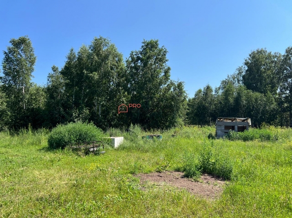 
  Продается универсальное помещение, 50 м²
. Фото 6.