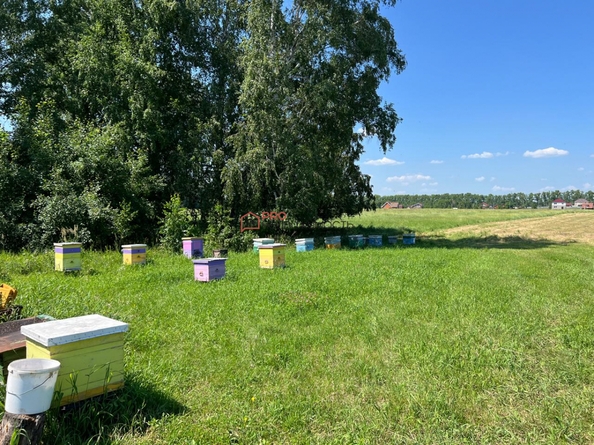 
  Продается универсальное помещение, 50 м²
. Фото 24.