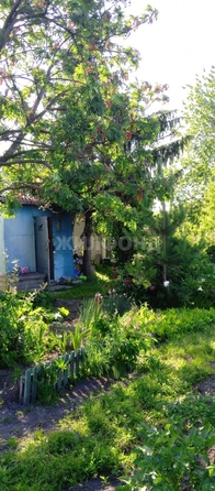 
  Продается дача, 20 м², село Криводановка
. Фото 2.