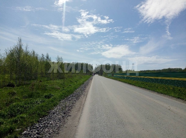 
  Продается земельный участок, 88 соток, рабочий поселок Кольцово
. Фото 1.