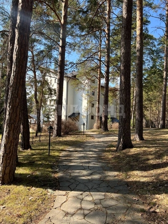 
  Продается 1-комн. квартира, 44.6 м², Дачное ш, д. 2/1
. Фото 10.