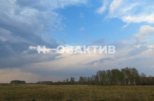 
  Продается земельный участок, 98.78 соток, село Томилово
. Фото 4.