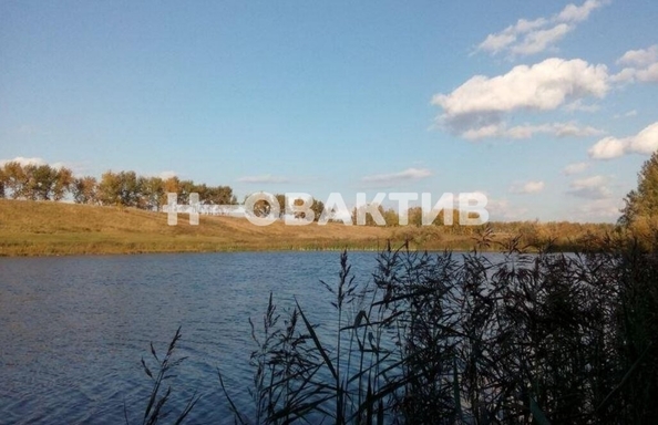 
  Продается земельный участок, 98.78 соток, село Томилово
. Фото 5.